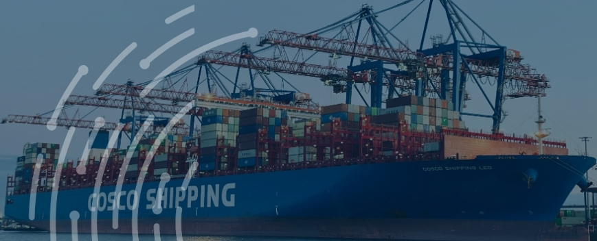 cheap LCL shipping from China to Italy