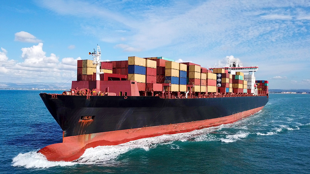 professional sea freight from Shenzhen to Canada