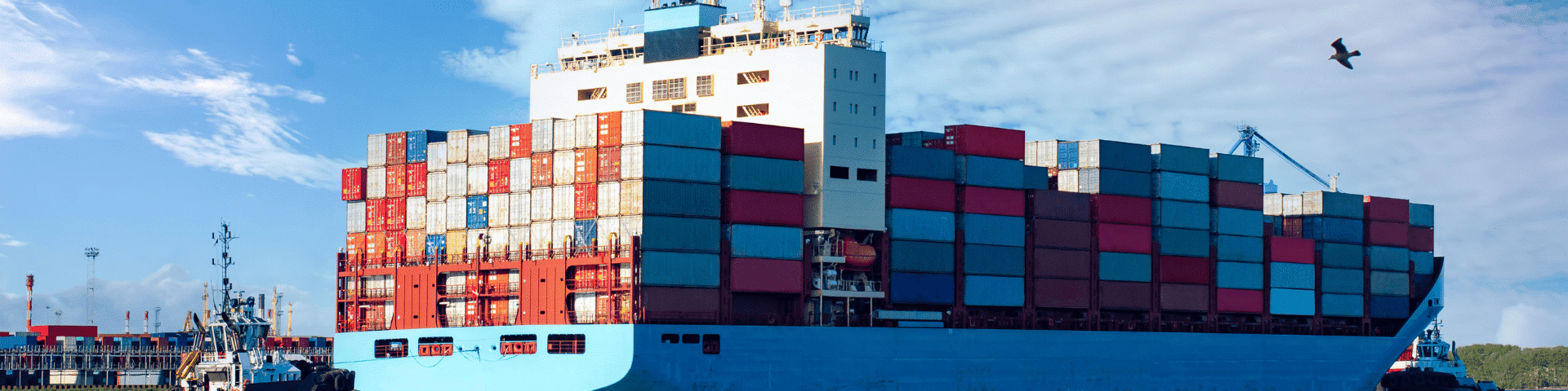 20GP FCL demurrage prevention for solar panels from China to Seattle