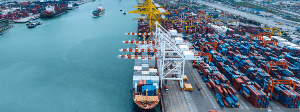 fast sea freight from Shenzhen to Netherlands