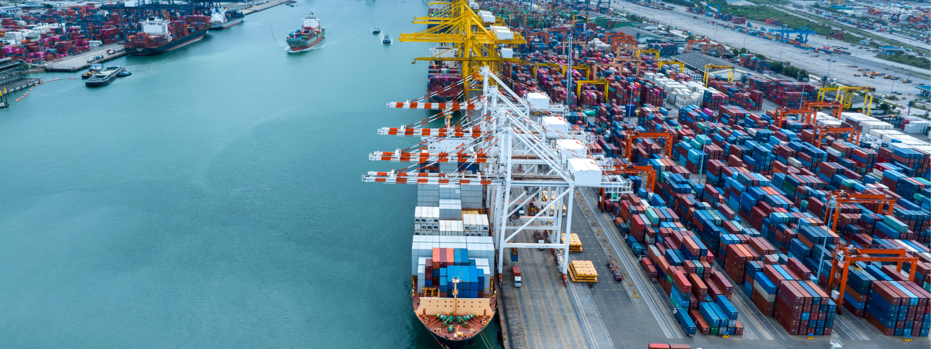 professional sea freight from China to France