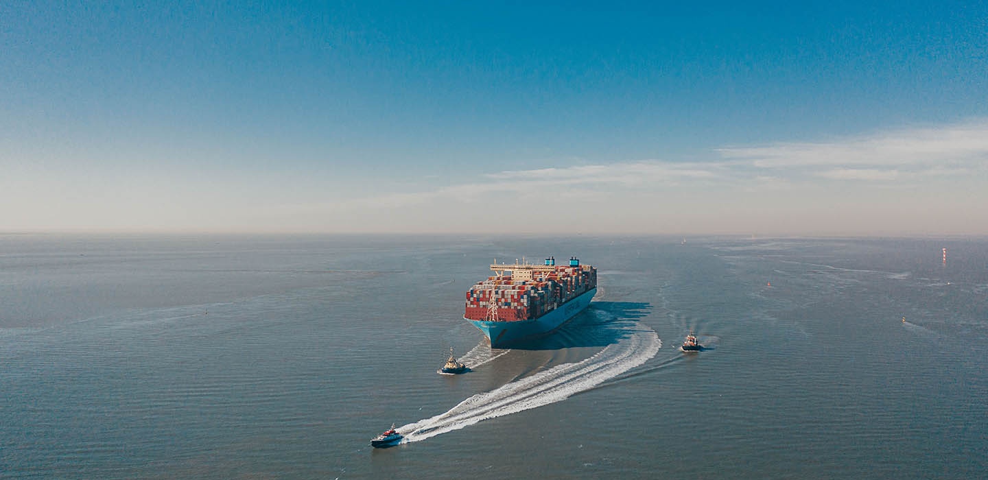 professional sea freight from China to Germany