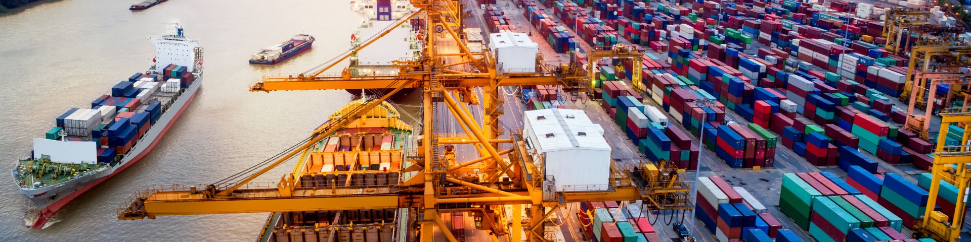 best LCL shipping from China to Italy