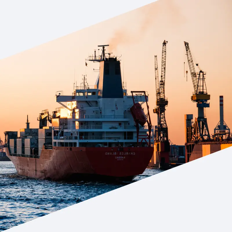 Demurrage Prevention for FCL Shipping from China to Georgia