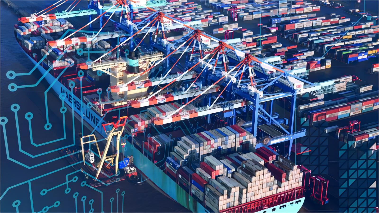 Logistics professional consulting with a client about freight solutions