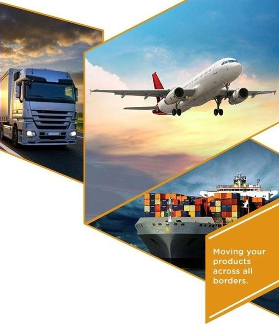 Logistics professional monitoring shipment tracking dashboard