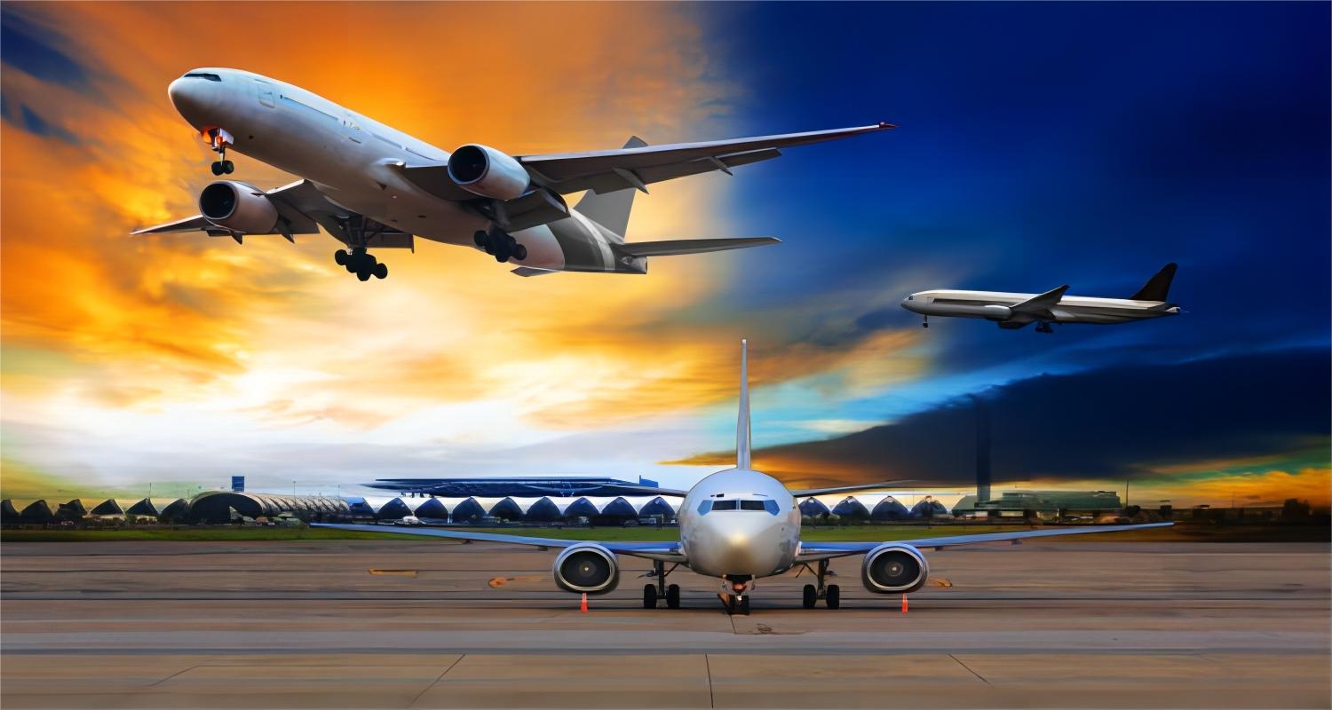 Logistics professional reviewing shipping documents